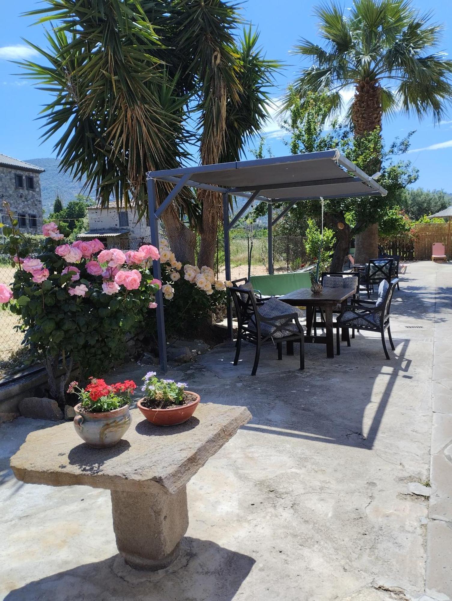 Miramare Hotel Petra  Bagian luar foto